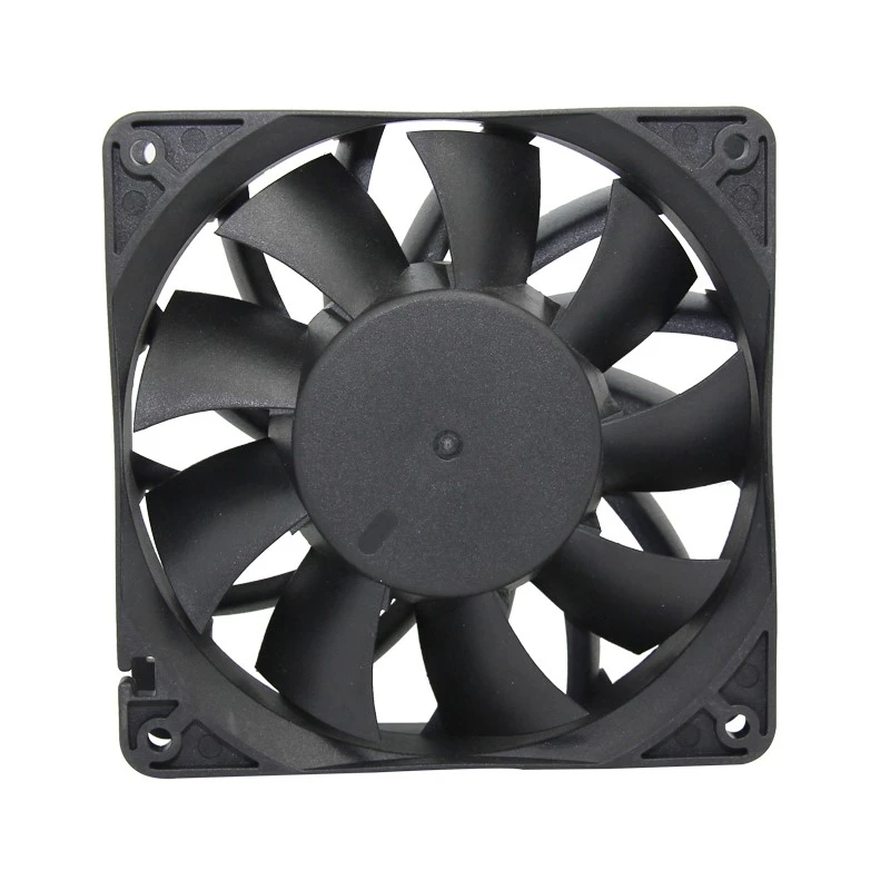 product-800-800